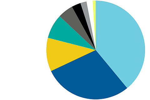 Pie chart